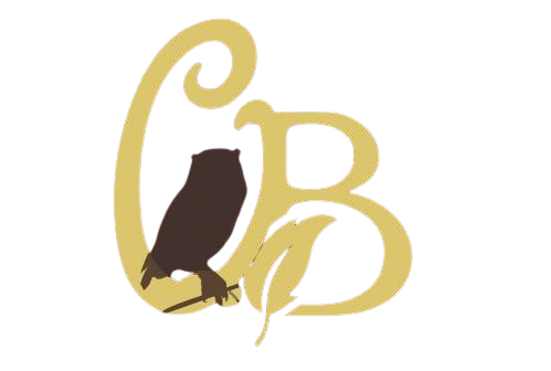 Owlfly Boutique